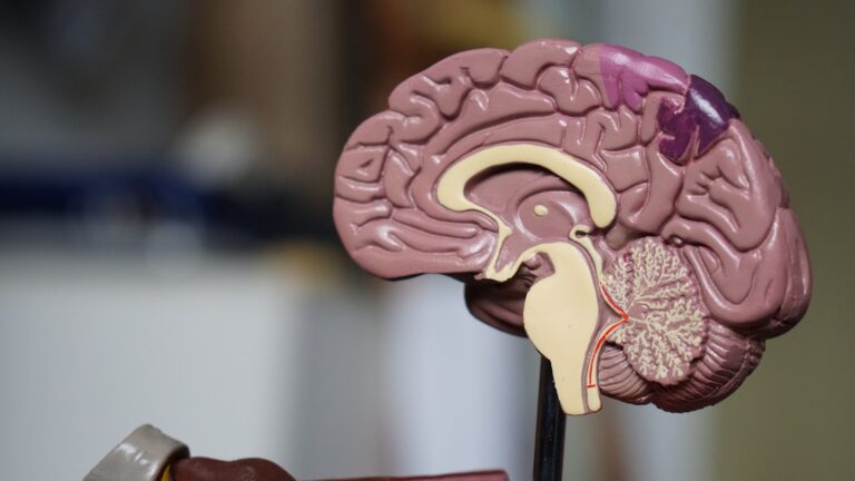 Roche Receives European Approval for First Alzheimer’s Blood Test, Marking Diagnostic Breakthrough