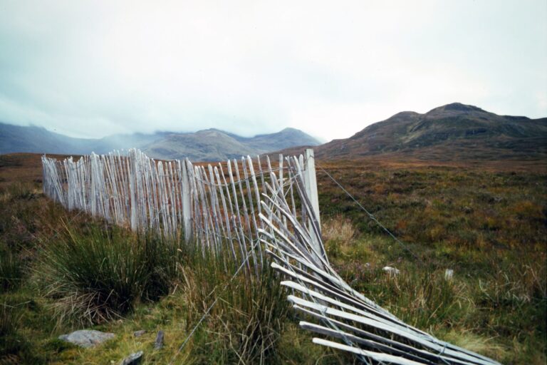 Badenoch’s -17: A Quiet Tory Recovery Beneath the Reform UK Headlines