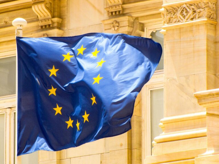 EU Hantavirus Preparedness: Parliament and Commission Assess Response After MV Hondius Outbreak