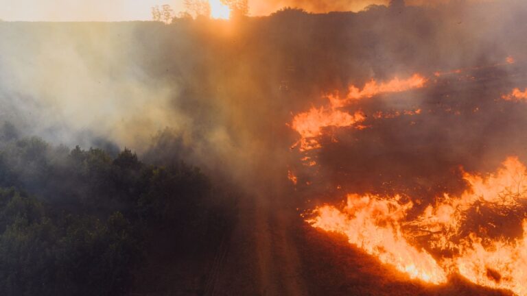 Spanish wildfire survivors speak out after deadly blaze kills friends