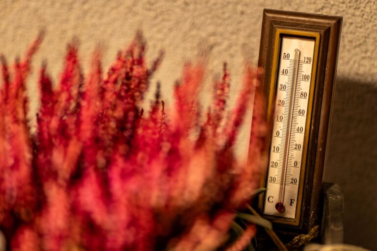 Heatwave in England and Wales set to last into next week
