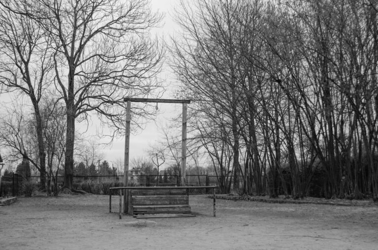 Polanski faces no further police action over guillotine re-post