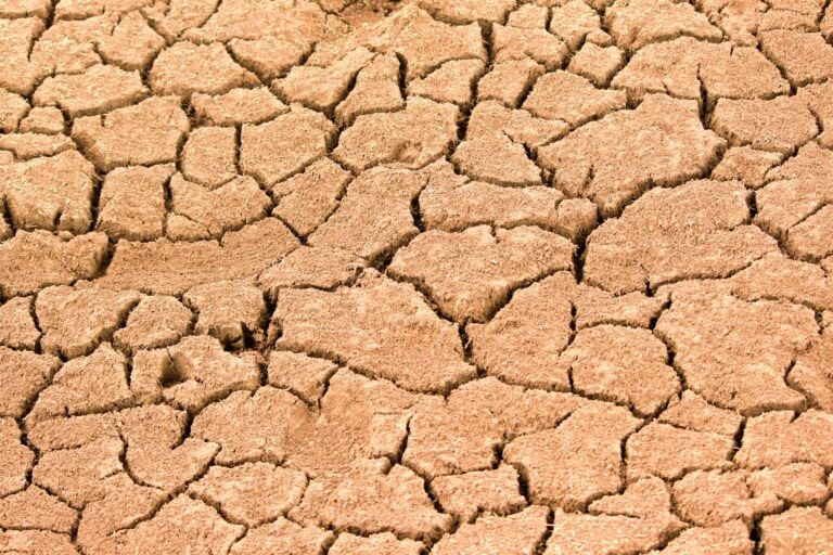 England water shortage: the race to secure future supplies