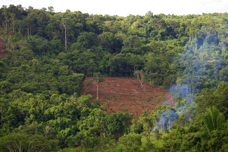 LSE launches research on Southeast Asia environmental conflict